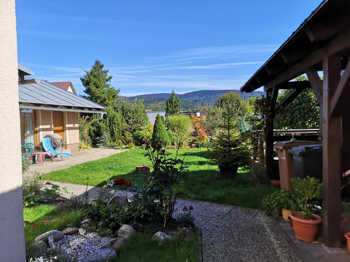 Penzion U Nasich Mladé Buky Exterior foto