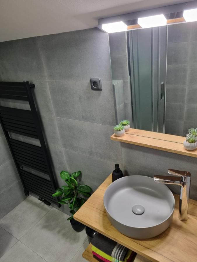 Penzion U Nasich Mladé Buky Exterior foto