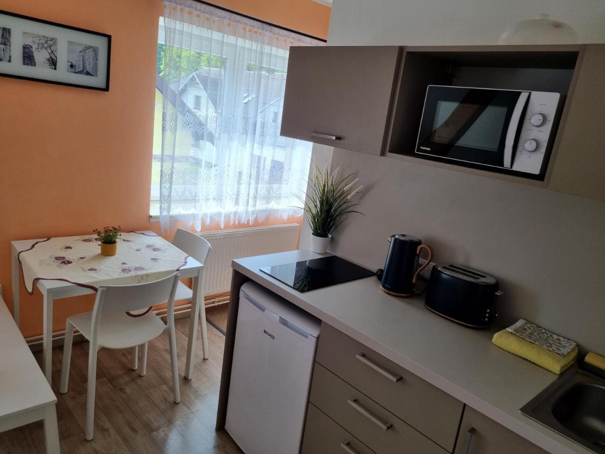 Penzion U Nasich Mladé Buky Exterior foto